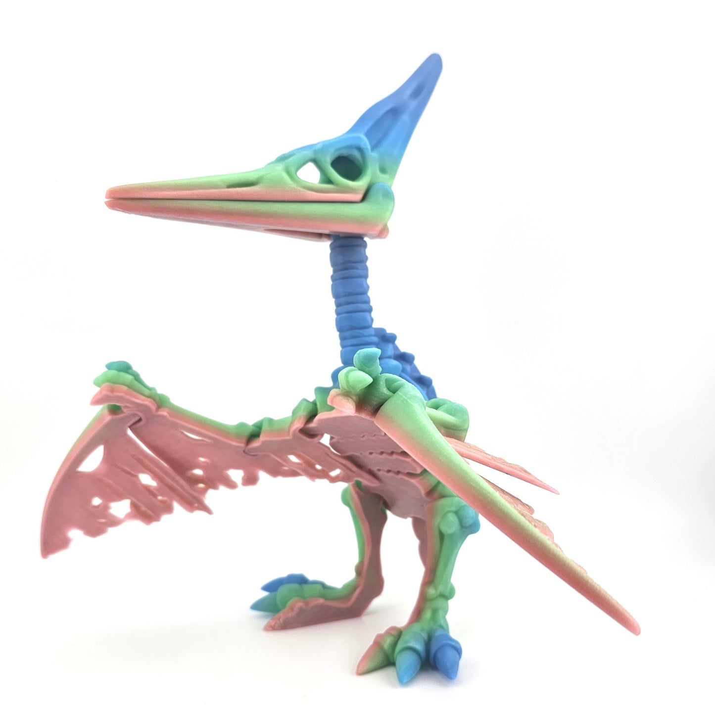 Prospect 3D - The Bone Yard - Jumbo Petrie's Skeleton - 10.5 inches tall - Home Décor