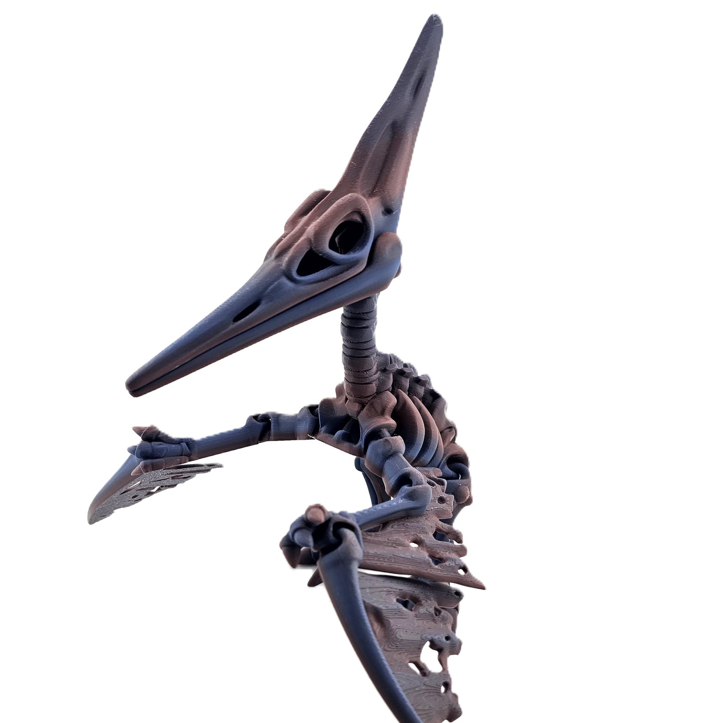 Prospect 3D - The Bone Yard - Jumbo Petrie's Skeleton - 10.5 inches tall - Home Décor