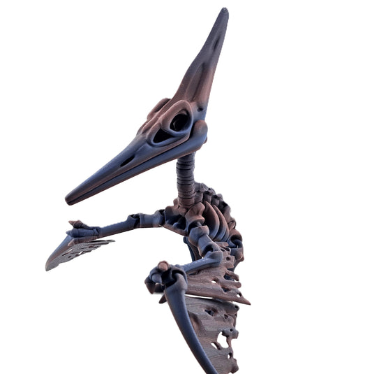 Prospect 3D - The Bone Yard - Jumbo Petrie's Skeleton - 10.5 inches tall - Home Décor