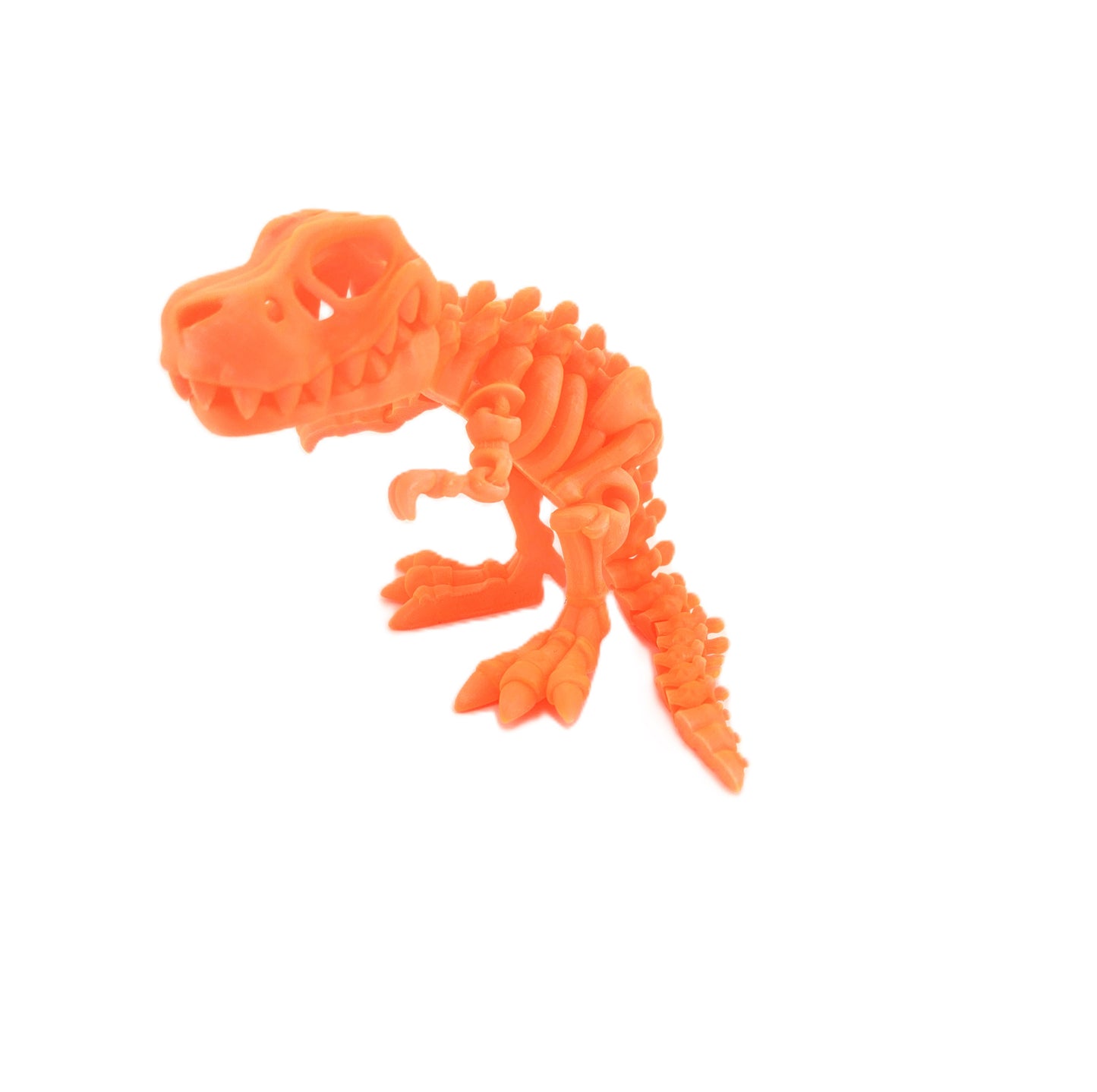 Prospect 3D - The Bone Yard - Large Terry's 5 Inches Tall Dinosaur Skeleton with Detailed Bone Structure and Playful Grin for Dino Enthusiasts
