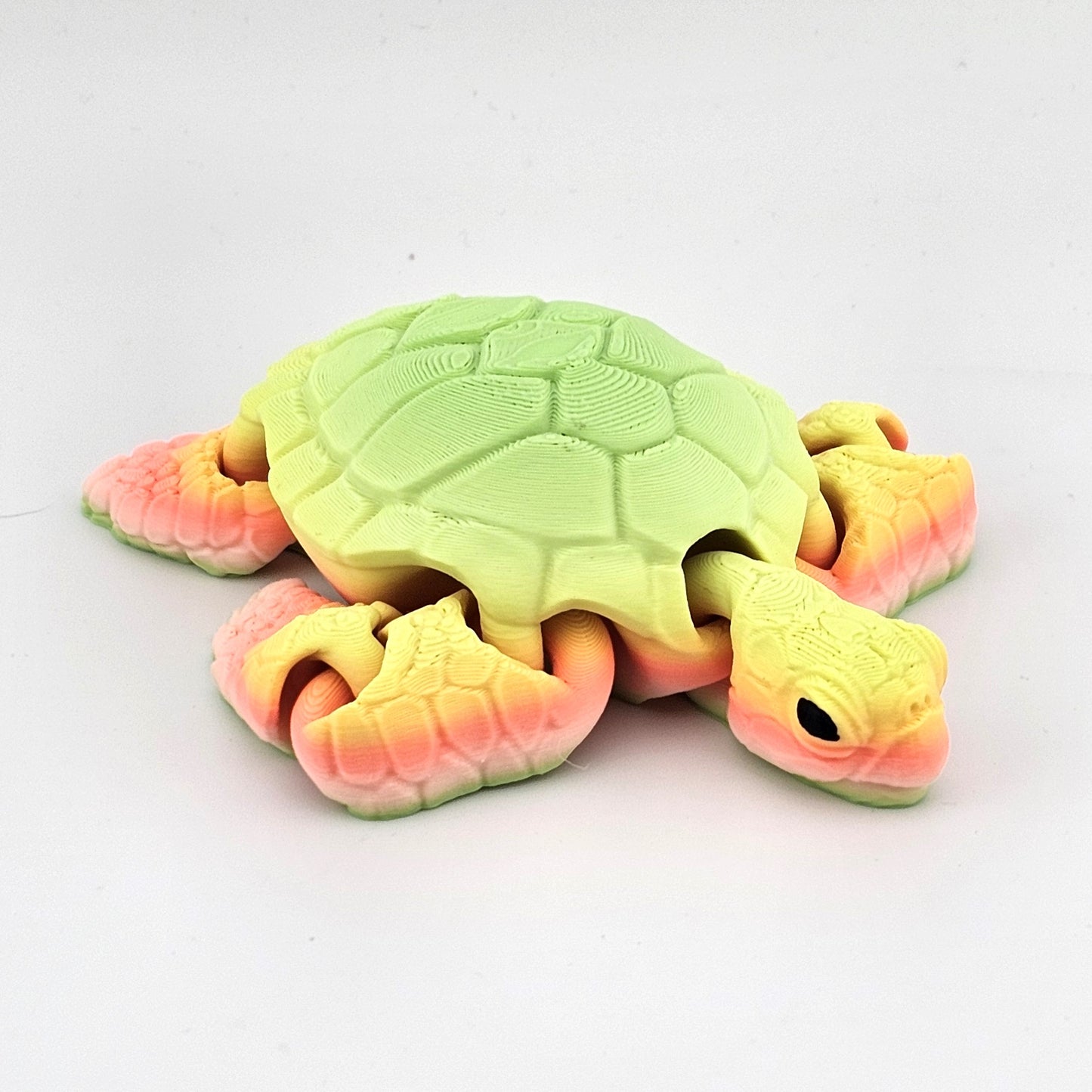 Prospect 3D -  Baby Realistic Sea Turtle — 3D Printed (4.5" L × 5.5" W) — Sea Turtle Shores Collection