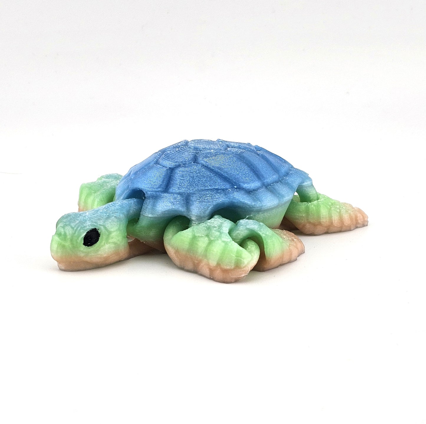Prospect 3D -  Baby Realistic Sea Turtle — 3D Printed (4.5" L × 5.5" W) — Sea Turtle Shores Collection