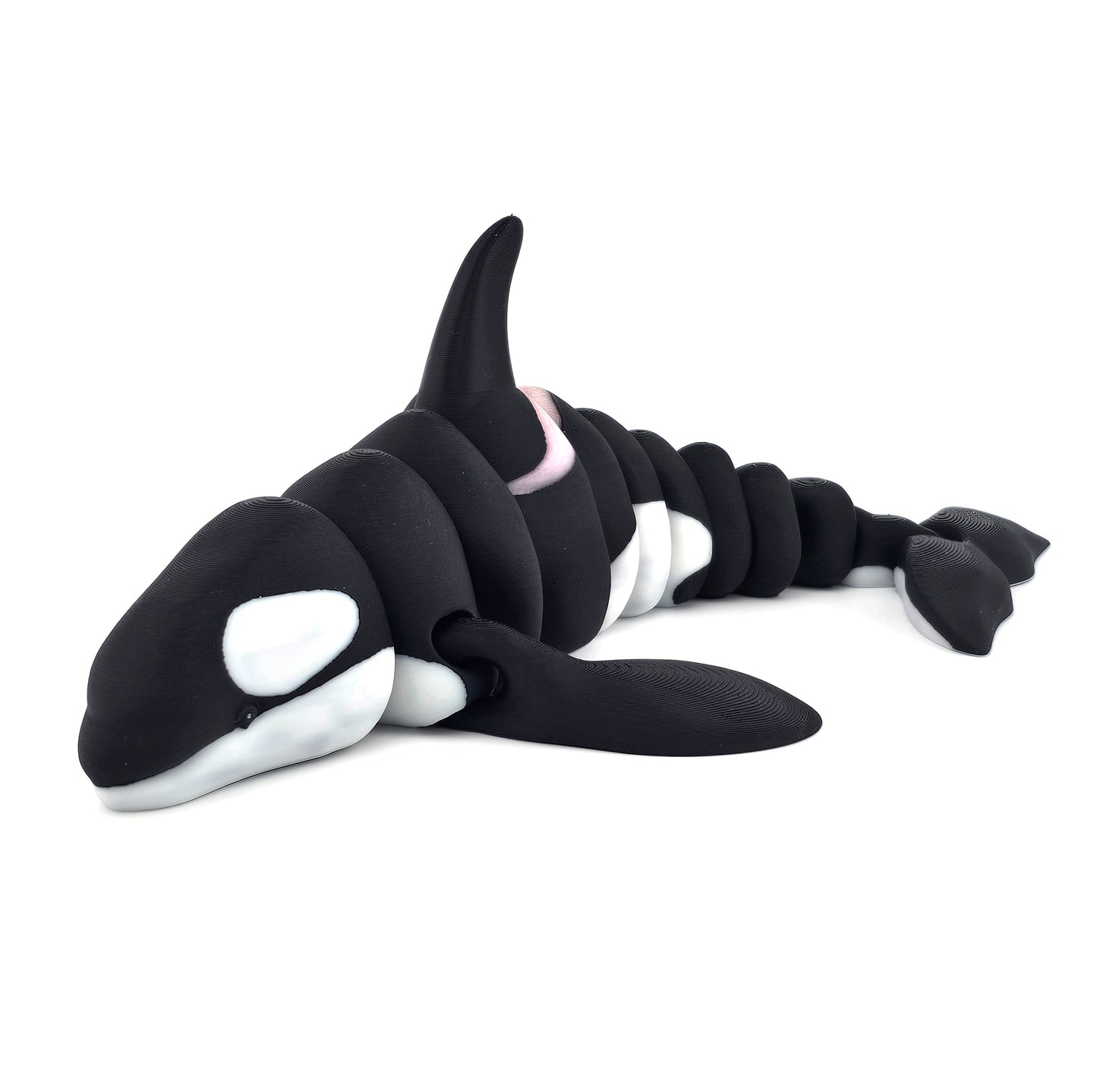 Prospect 3D - Realistic 3D Printed Orca – Sea Turtle Shores Collection – 10.5" Display Model