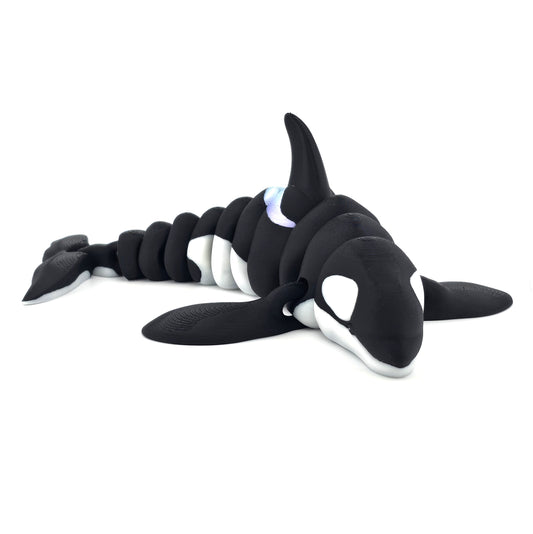Prospect 3D - Realistic 3D Printed Orca – Sea Turtle Shores Collection – 10.5" Display Model