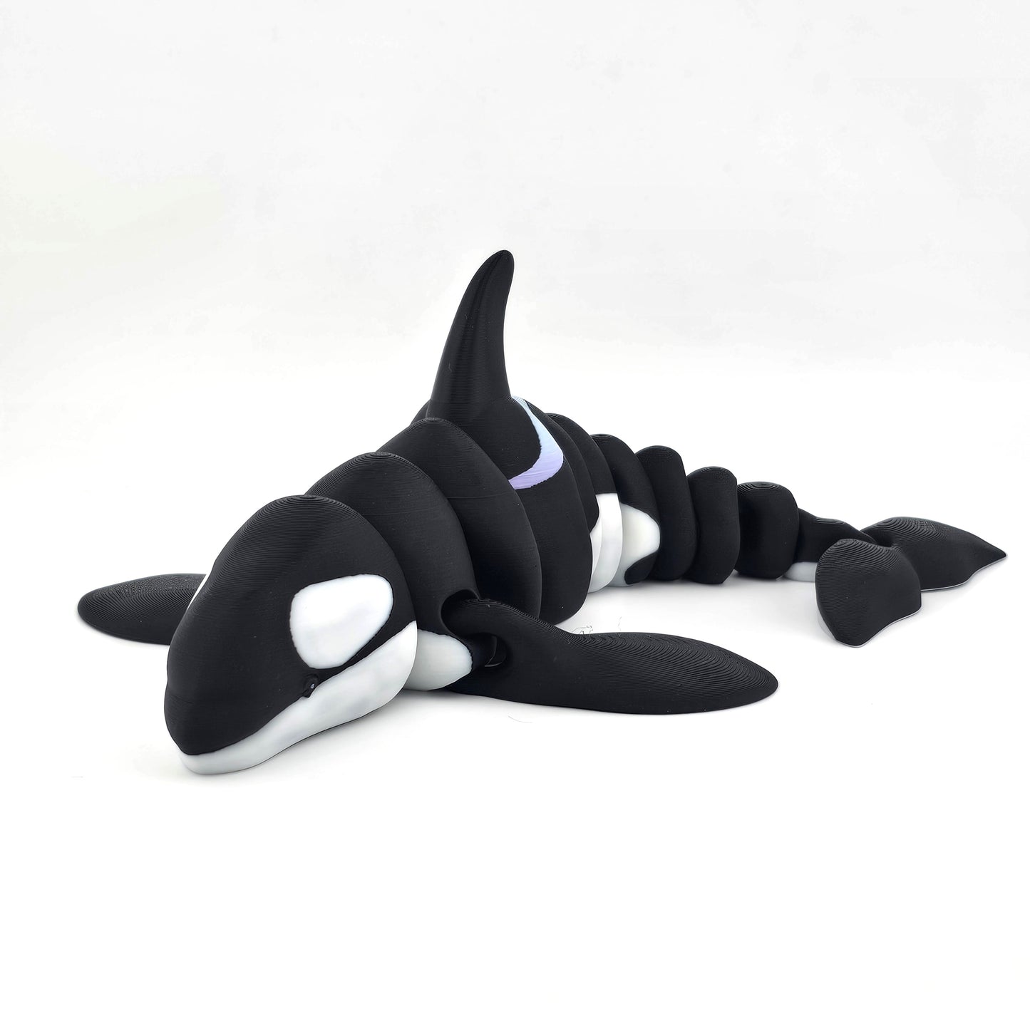 Prospect 3D - Realistic 3D Printed Orca – Sea Turtle Shores Collection – 10.5" Display Model