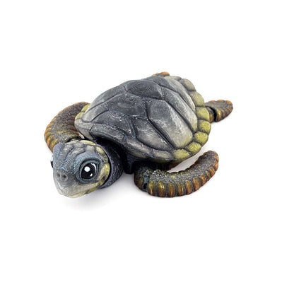 Prospect 3D - Baby Sea Turtle Articulated Figure - 3D Printed - Sea Turtle Shores Collection - 5x4.75x1.5 Dimensions