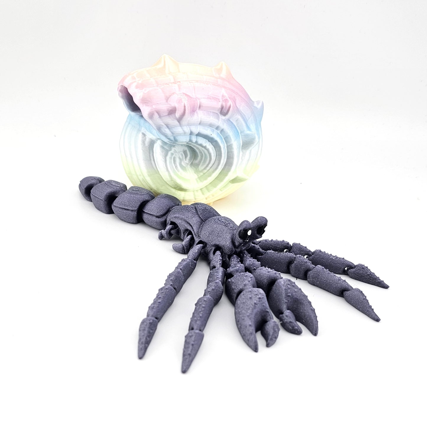 Prospect 3D - 3D Printed Hermit Crab – Sea Turtle Shores Collection – Coastal Beach Decor