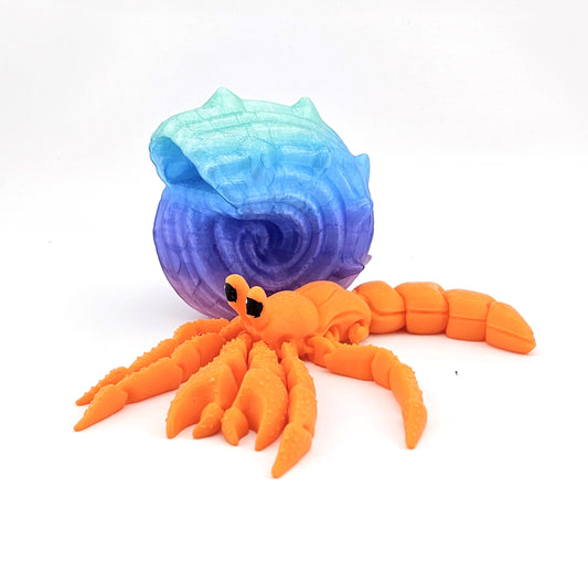 Prospect 3D - 3D Printed Hermit Crab – Sea Turtle Shores Collection – Coastal Beach Decor
